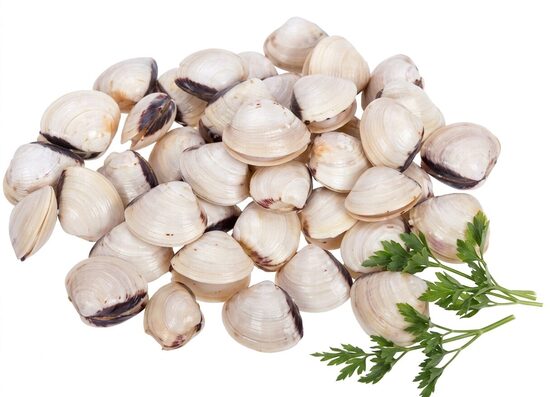 Almeja Blanca M 60/80 6×1 Kg