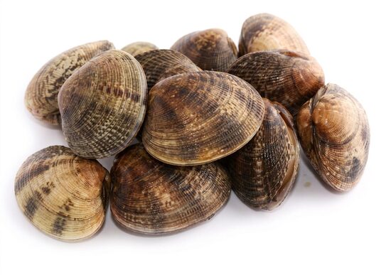 Almeja Marrón G 40/60 6×1 Kg