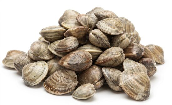 Almeja Marrón M 60/80 6×1 Kg