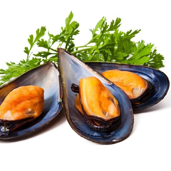 Mejillón Media Concha Cocido 6×1 Kg