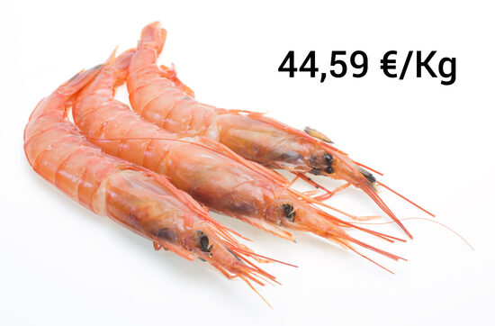 Gamba Blanca Marruecos 80/84P 1 Kg Aprox.