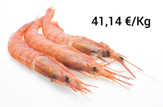 Gamba Blanca Marruecos 60/80P 1 Kg Aprox.