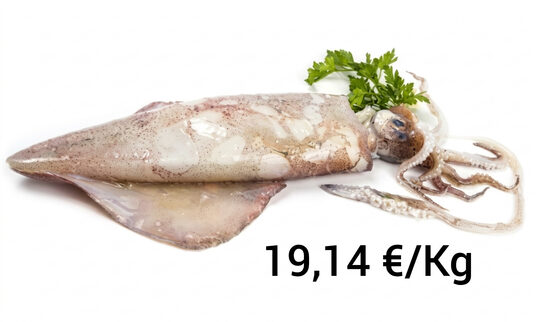 Calamar Nacional GG +1000g Pieza 6 Kg Aprox.