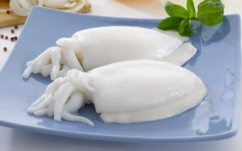 Sepia Silomar 8/12 6×1 Kg