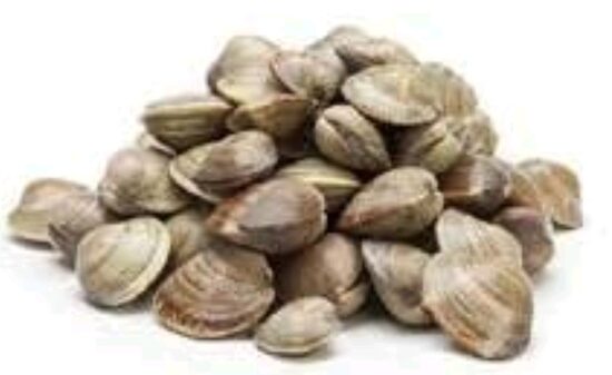 Almeja Marrón M 60/80 6×1 Kg