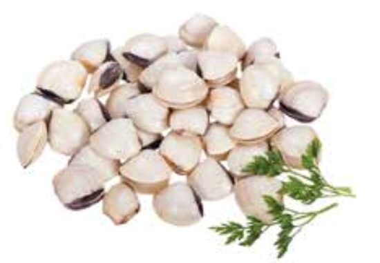 Almeja Blanca M 60/80 6×1 Kg