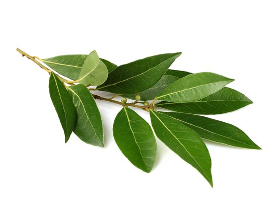 Laurel ecológico 40 g