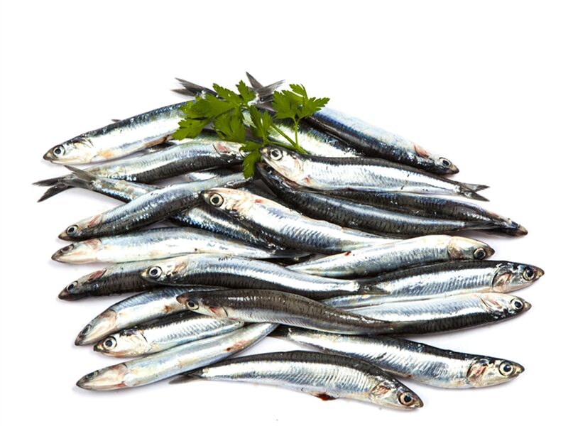 Boquerón Mediano. 1 Kg
