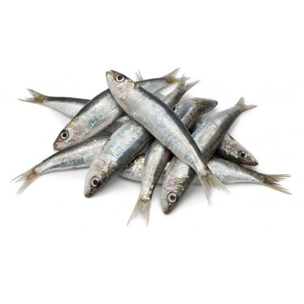 Sardinas. 1 Kg.