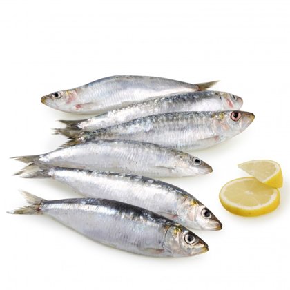 Sardinas Grandes. 1 Kg